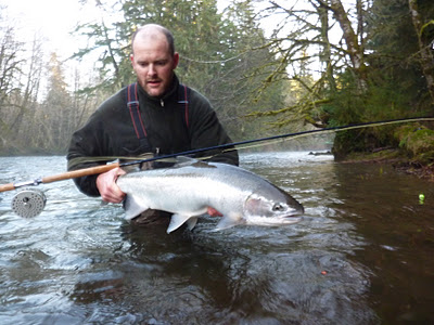 oregon steelhead